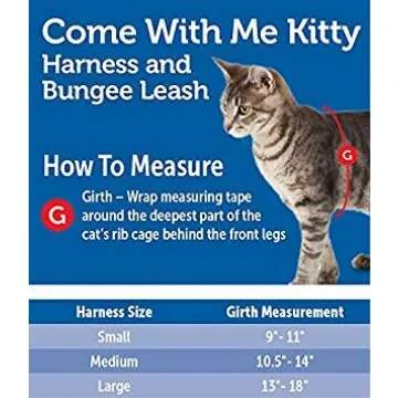 PetSafe Come with Me Kitty Harness and Bungee Leash, Large, Lilac