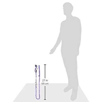 PetSafe Come with Me Kitty Harness and Bungee Leash, Large, Lilac