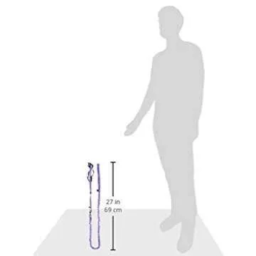 PetSafe Come with Me Kitty Harness and Bungee Leash, Large, Lilac