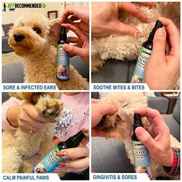 Vet Recommended - Colloidal Silver for Dogs & Cats - (4oz/120ml) - Colloidal Silver Spray That Works...