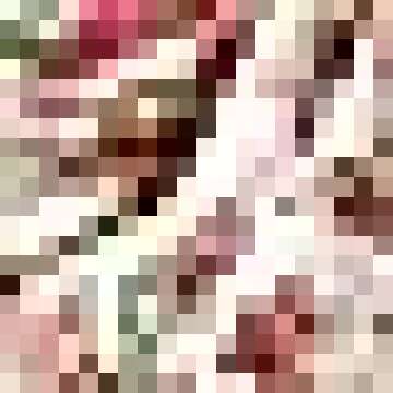 SheIn Women's Plain Ruffle Strap Knot Front Backless Cute Cami Crop Top Bralette Beige Large