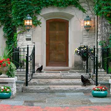 Prextex Crows Halloween Decoration - Black Bird Fall Decor, Witch Decor, Artificial Birds Gothic Home Decor, Fake Crow Halloween Kitchen Decor, Vintage Halloween Decorations Outdoor and Indoor (2pcs)