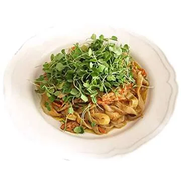 Miracle Noodle Fettuccine Shirataki Konjac Pasta Noodles - Ready-To-Eat, Plant Based, Keto, Vegan, G...