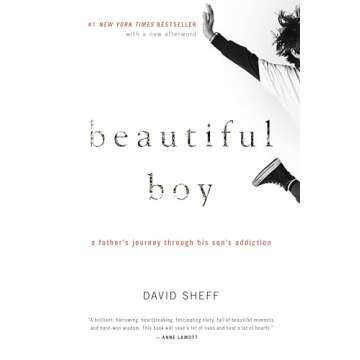 Beautiful Boy: A Father's Journey Through His Son's Addiction