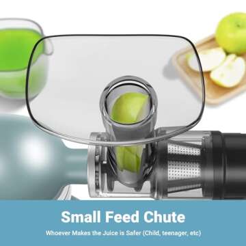 Masticating Juicer Attachment for All Model KitchenAid Stand Mixer, AAOBOSI Cold Press Juicer Attachment w/Clean Brush, as Kitchen Aid Slow Juicer Attachment and Accessories (Black)