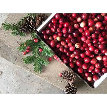 Fresh Maine Cranberries - 12 oz for Sauces and More