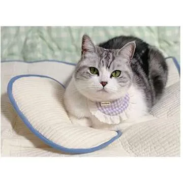 momNpop MNP Pet Organic Pillow, an Ideal Naptime Sleeping Companion for Small Dogs and Cats (Pink)