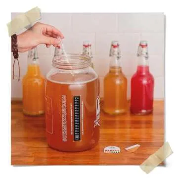Jun Kombucha Starter Culture - USDA Certified Organic SCOBY & Starter Tea - Makes 1 Gallon - Brewed with Organic Green Tea & Honey - Brew Jun Tea!