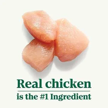 NUTRO Mini Bites Dog Treats Berry & Yogurt Flavor, 8 oz. Bag