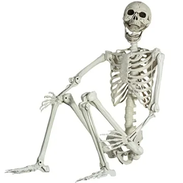 5.4Ft/165cm Posable Halloween Skeleton, Full Body Life Size Skeleton with Movable Joints for Indoor ...