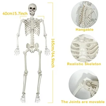 5.4Ft Halloween Skeleton with Movable Joints for Decor