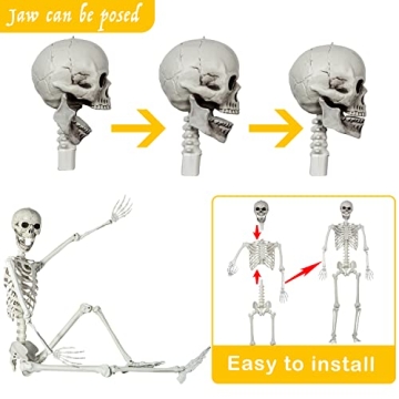 5.4Ft Halloween Skeleton with Movable Joints for Decor