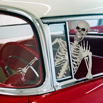 5.4Ft Halloween Skeleton with Movable Joints for Decor