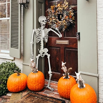 5.4Ft Halloween Skeleton with Movable Joints for Decor