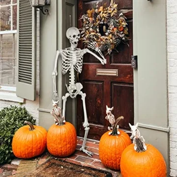 5.4Ft Halloween Skeleton with Movable Joints for Decor