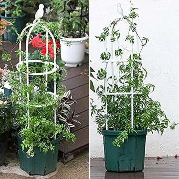 Stunning 6ft Garden Trellis for Climbing Plants Support