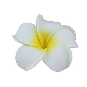 DreamLily Women's Fashion 3 Pcs Hawaiian White Plumeria Flower Foam Hair Clip Balaclavas for Beach (...