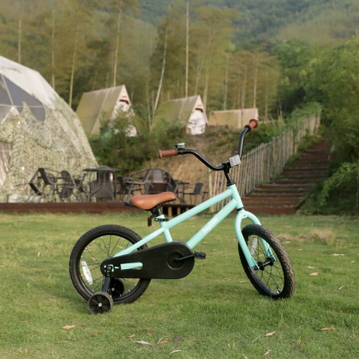 JOYSTAR Kids Bike for Ages 2-12 with Training Wheels