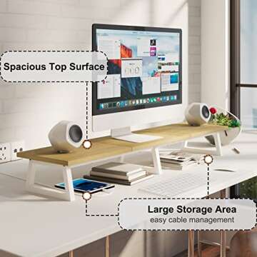 TEAMIX Large Dual Monitor Riser - Ergonomic Desk Stand