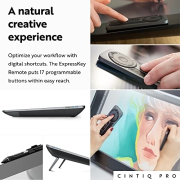 Wacom Cintiq Pro 24 Touch Display - 4K Graphic Monitor