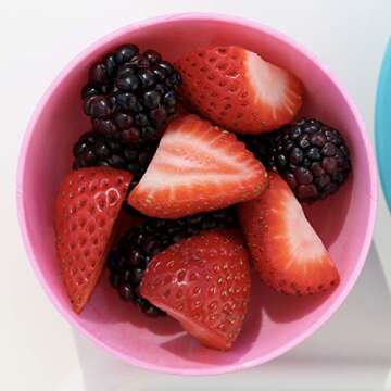 ChooMee Silicone Baby Suction Bowls | Non Slip Extra Strong Suction Base with Durable and Firm Bowl | Ideal for Infant and Toddler Baby Led Feeding | Small 2 CT