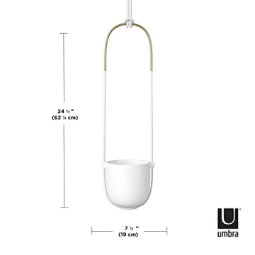 Umbra Bolo Hanging Planter for Small Plant Decor