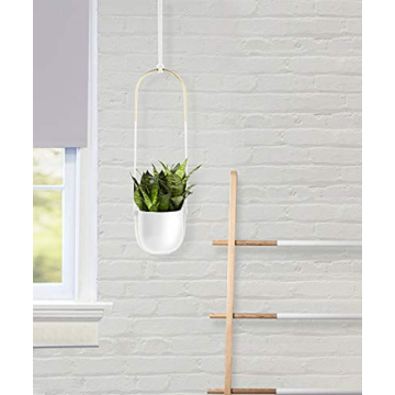 Umbra Bolo Hanging Planter for Small Plant Decor
