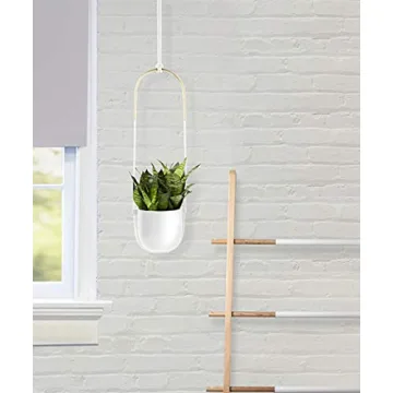 Umbra Bolo Hanging Planter for Small Plant Decor
