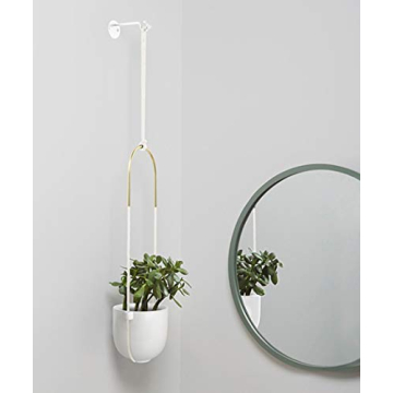 Umbra Bolo Hanging Planter for Small Plant Decor