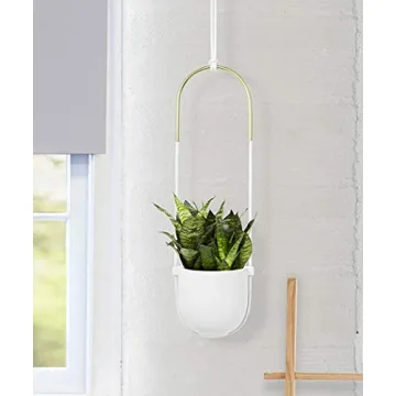 Umbra Bolo Hanging Planter for Small Plant Decor