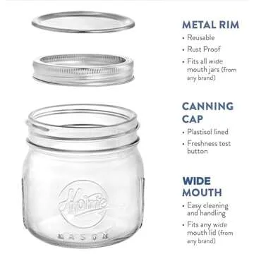 Tebery 6 Pack Wide Mouth Home Glass Mason Jars with Airtight Lids and Bands, 16Oz Canning Glass Jars for Canning, Fermenting, Pickling, Decor
