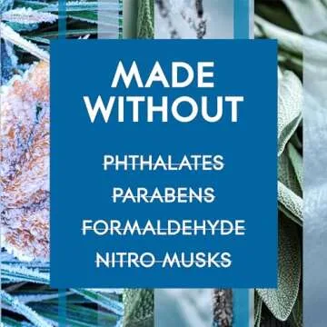 Glade Automatic Spray Refill, Air Freshener for Home and Bathroom, First Frost, 6.2 Oz, Limited Edition Scent, 2 Count