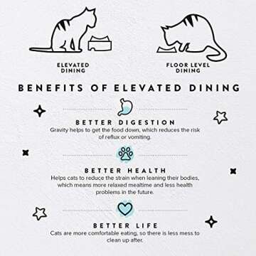 CatGuru Food Table for Cat Bowl, Non Slip Pet Feeding Station for Cat Food Bowls, Raised Stand for F...