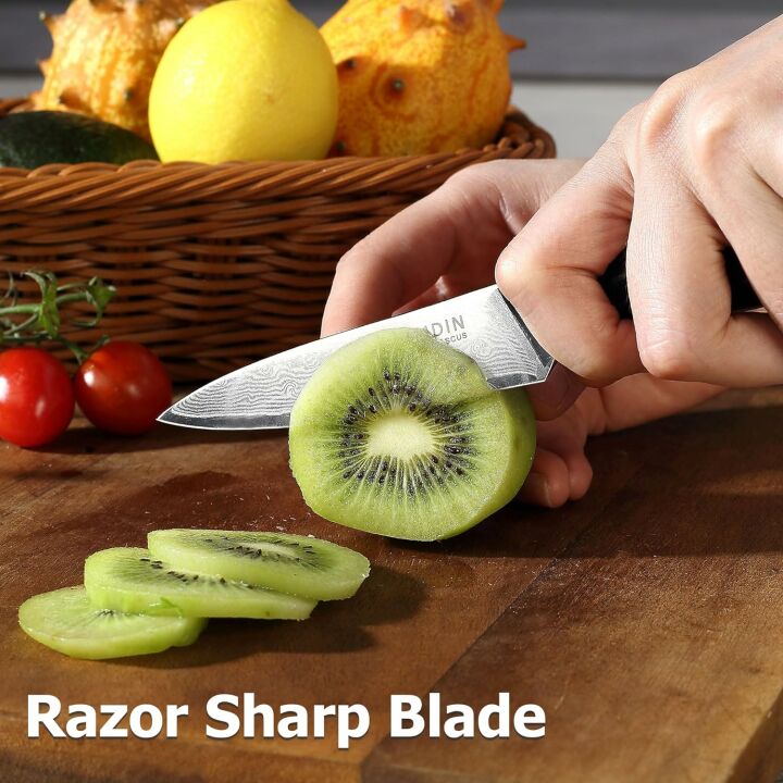 Damascus Paring Knife - 3.5 Inch VG-10 Steel Knife