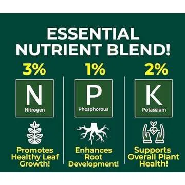 Gardenera Professional Spider Plant Spray Fertilizer Mist for Home Gardening | 3-1-2 Gentle Blend Mist for Healthy Leaves & Growth | Essential Nutrients for Spider Plants - 8oz