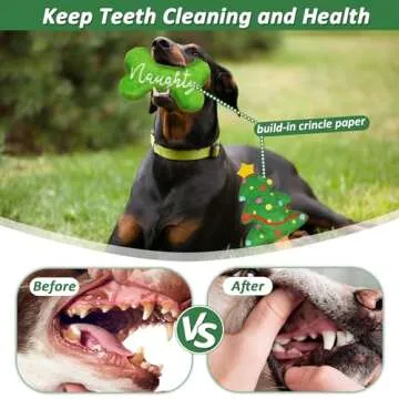 LECHONG Christmas Dog Toys - Fun 4-Piece Squeaky Set