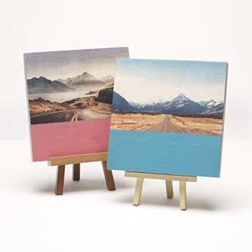 Mod Podge Photo Transfer Medium (8-Ounce), CS15067