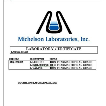 Hollywood Supps BCAA Capsules 3200mg for Optimal Recovery