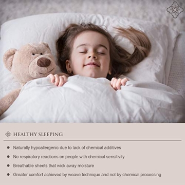 Bioweaves Organic Cotton Queen Sheets - Luxury Comfort