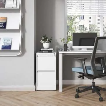 BIZOEIRON 2 Drawer File Cabinet with Lock, Metal Vertical Filing Cabinets for Home Office, Steel Sto...