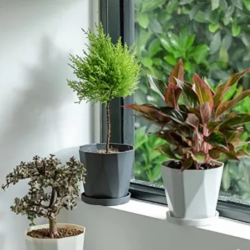 InmeRun 5 Inch Plant Pots Set with Drainage and Saucers