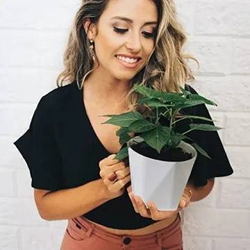 InmeRun 5 Inch Plant Pots Set with Drainage and Saucers