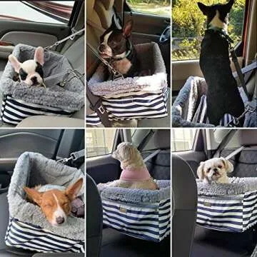 Safe and Comfortable Dog Car Seat for Small Dogs