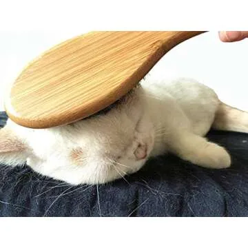 Gentle Patina Dog Cat Brush for All Fur Types