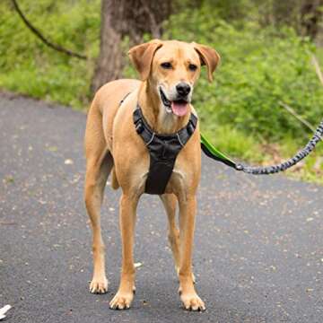 Tuff Mutt Dog Harness for Medium & Large Breeds, Easy On Easy Off with a No Pull Front Chest Clip, W...