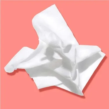 Neutrogena Makeup Remover Wipes for Oily Skin