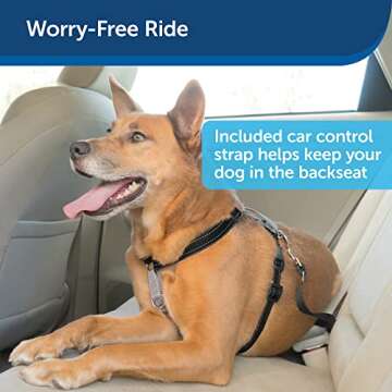 PetSafe 3 in 1 Harness with Two Point Control Leash, No-Pull Harness, Medium, Black, Adjustable