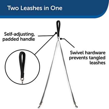 PetSafe 3 in 1 Harness with Two Point Control Leash, No-Pull Harness, Medium, Black, Adjustable