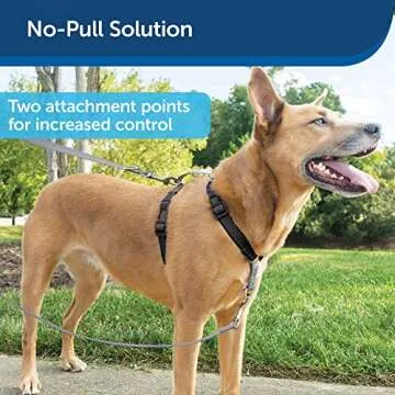 PetSafe 3 in 1 Adjustable Dog Harness - Control & Comfort