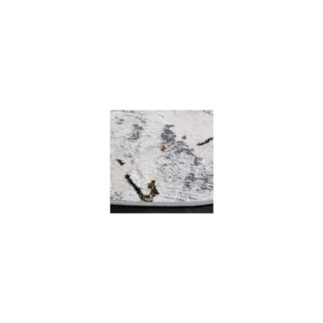 SAFAVIEH Amelia Collection 5' Round Grey/Gold ALA293G Modern Abstract Non-Shedding Living Room Dining Bedroom Foyer Area Rug